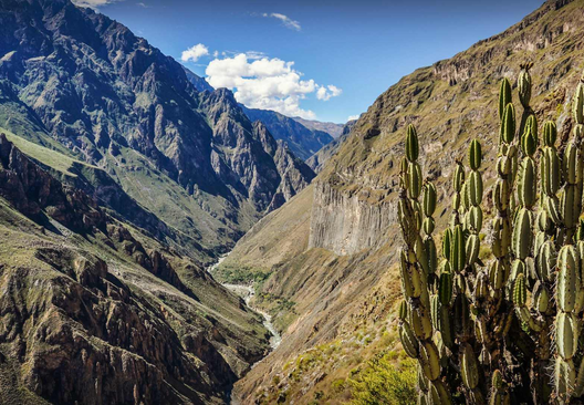 colca canyon treks