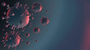 rt pcr molecular test